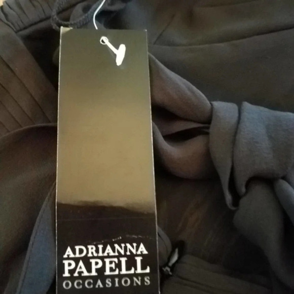 Adrianna Papell Silk Dress Size 4 NWT - Picture 3 of 9